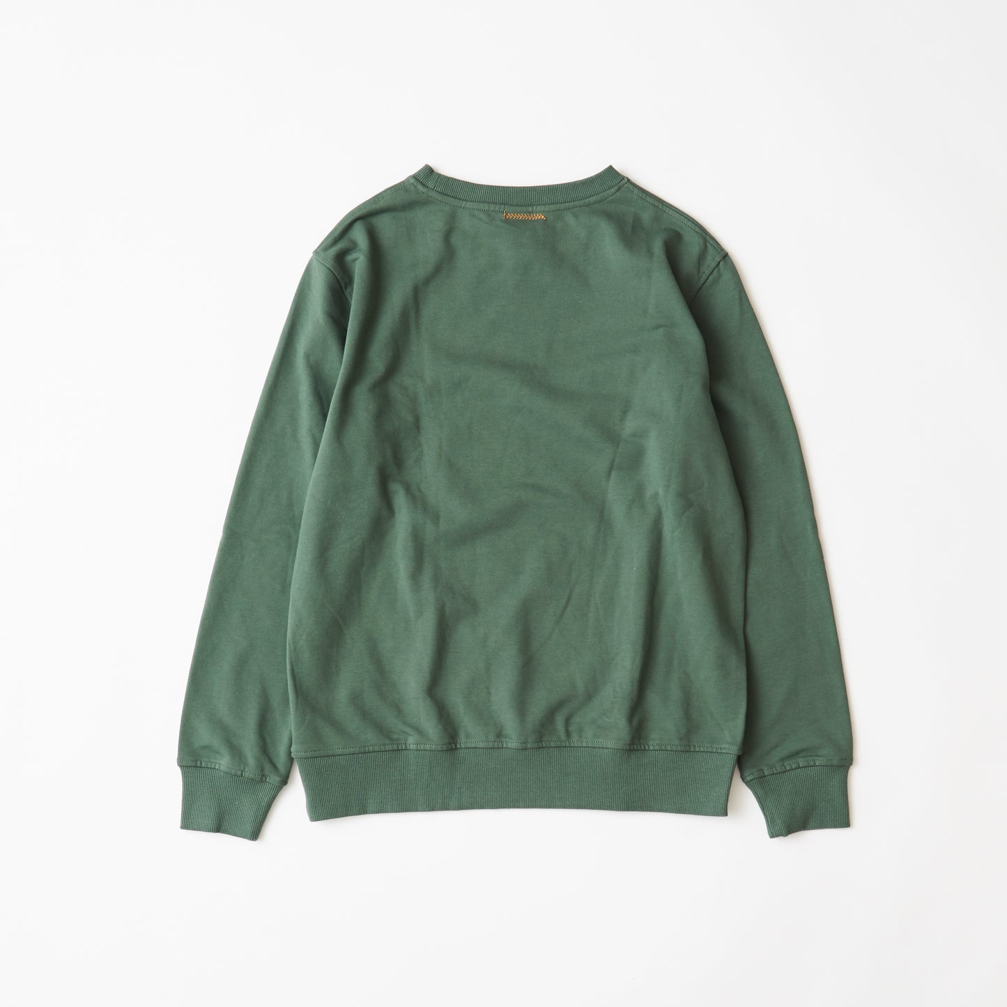 Sweatshirt (dark khaki) | Climate Justice