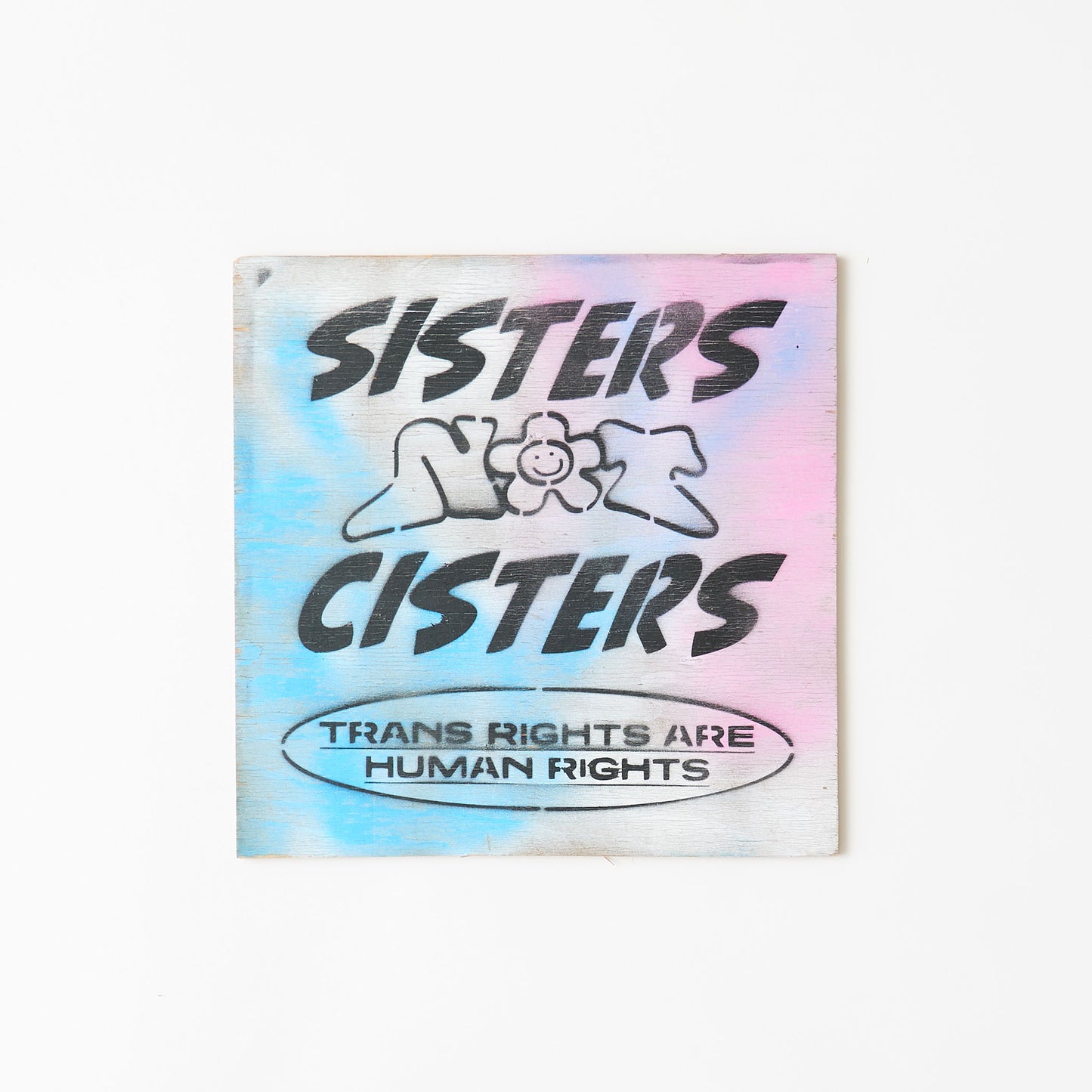 木製の板に水色、白、ピンクのスプレーの上にSISTERS NOT CISTERS TRANS RIGHTS ARE HUMAN RIGHTSと黒くプリントされている