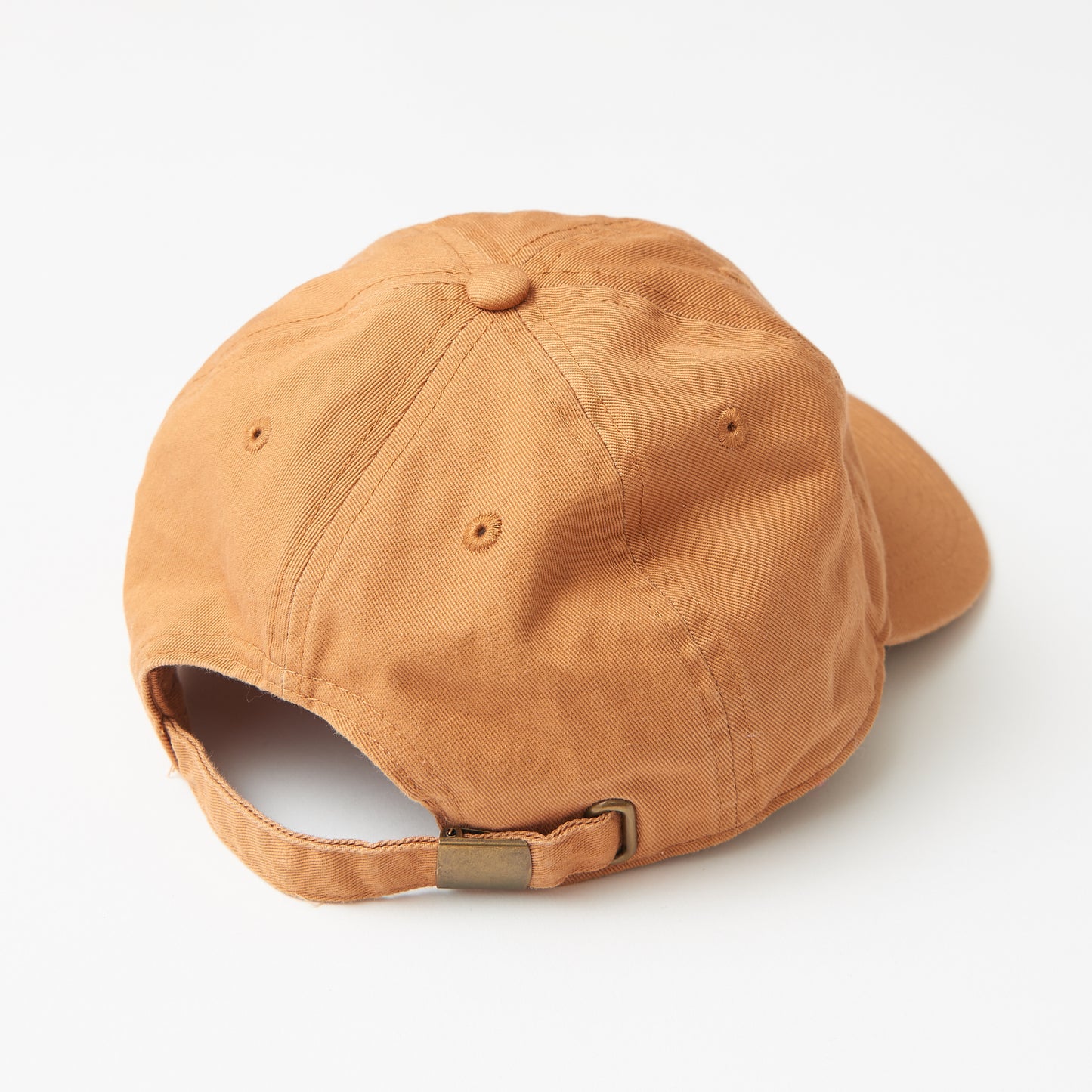 キャップ(ブラウン)|心臓 The Heart